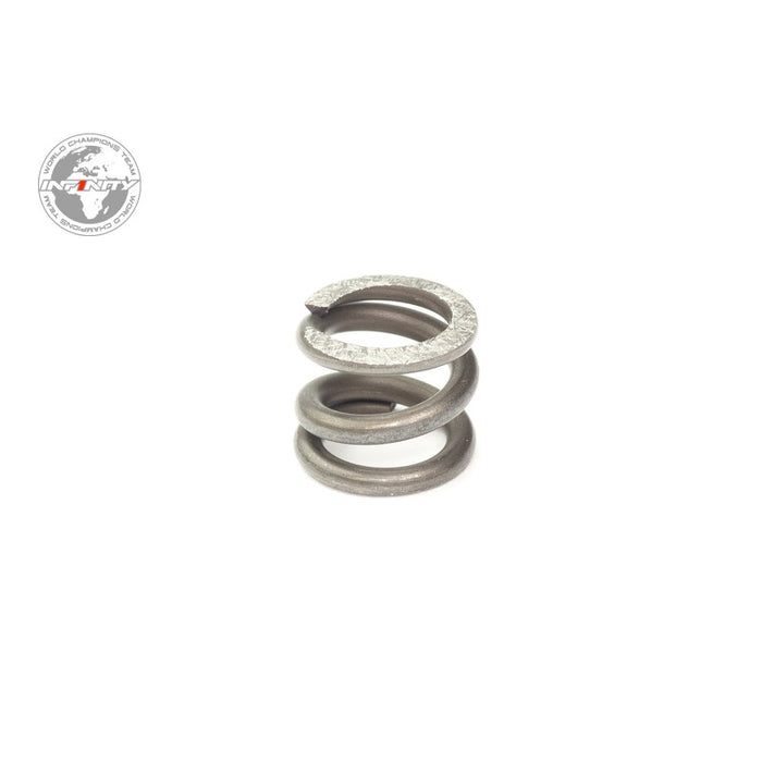 Infinity CLUTCH SPRING (1) R0386S3